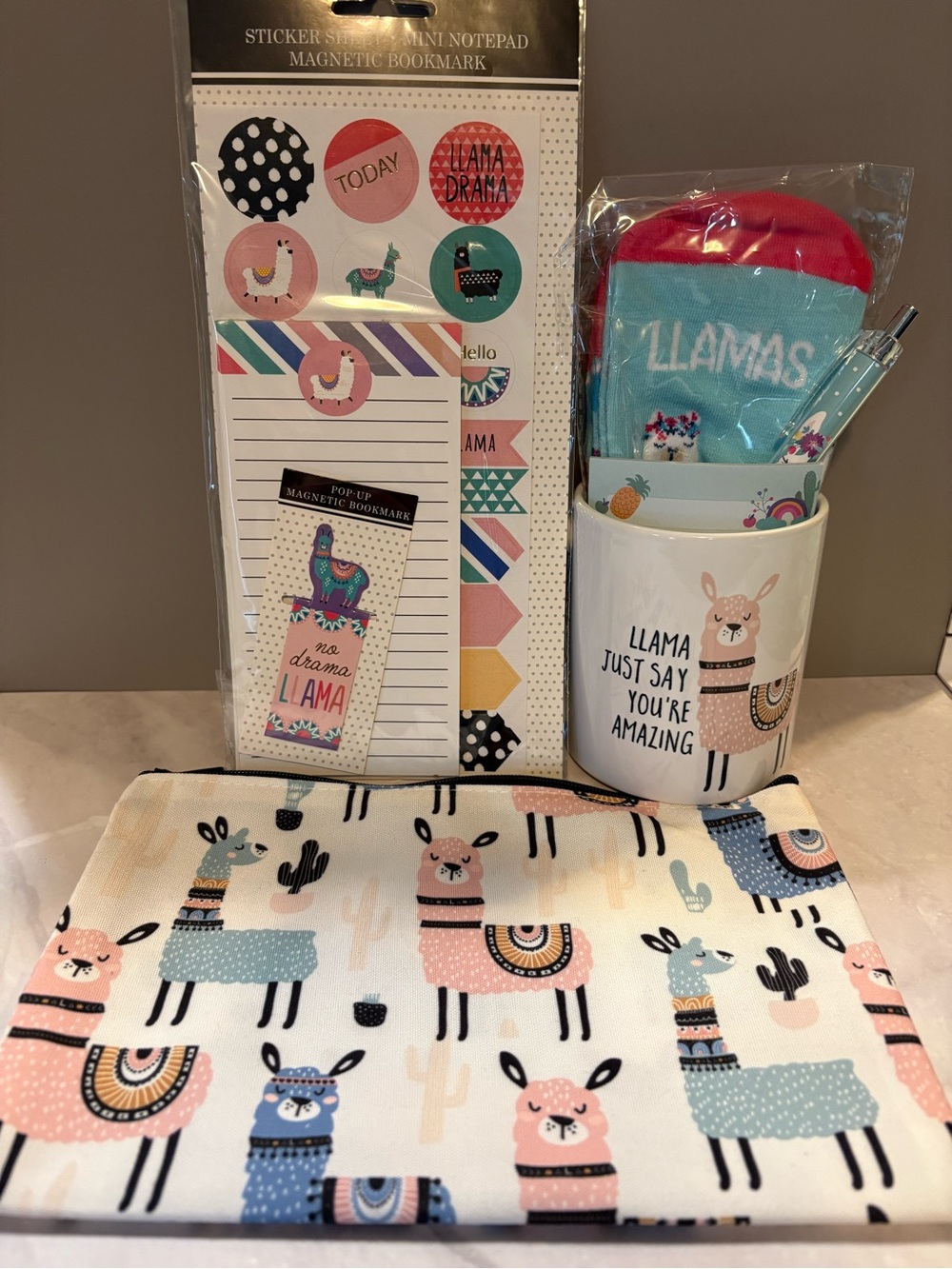 Llama Accessories Gift Set - Pink & Teal